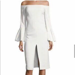 Stunning Alexis dress Nirvana, purchased from TRR - long slit, trumpet sleeves